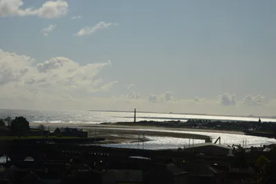 DSC_7248 (Large).JPG